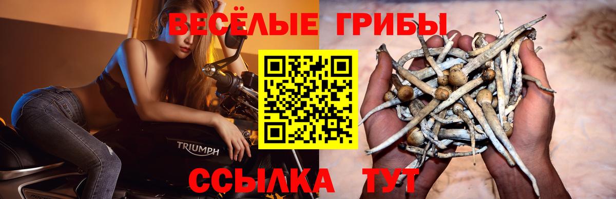 Галлюциногенные грибы Magic Shrooms  Вход с VPN  Псилоцибиновые грибы Cubensis  Кудымкар 